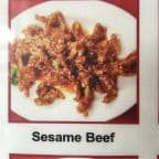 Best Sesame Beef in Houston, TX